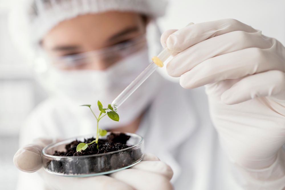 soil health https://encroftbiosolutions.com/wp-content/uploads/2023/05/soil-health-1.jpg